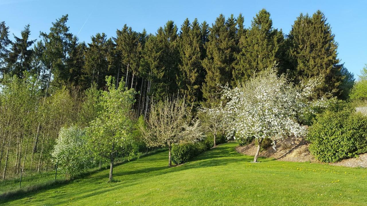 Ferienwohnung Am Waldrand Herdwangen-Schonach ภายนอก รูปภาพ