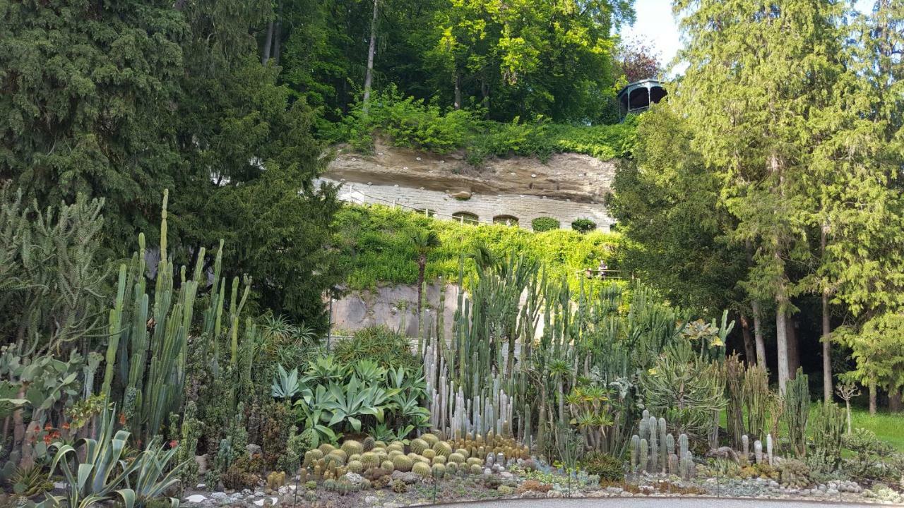 Ferienwohnung Am Waldrand Herdwangen-Schonach ภายนอก รูปภาพ